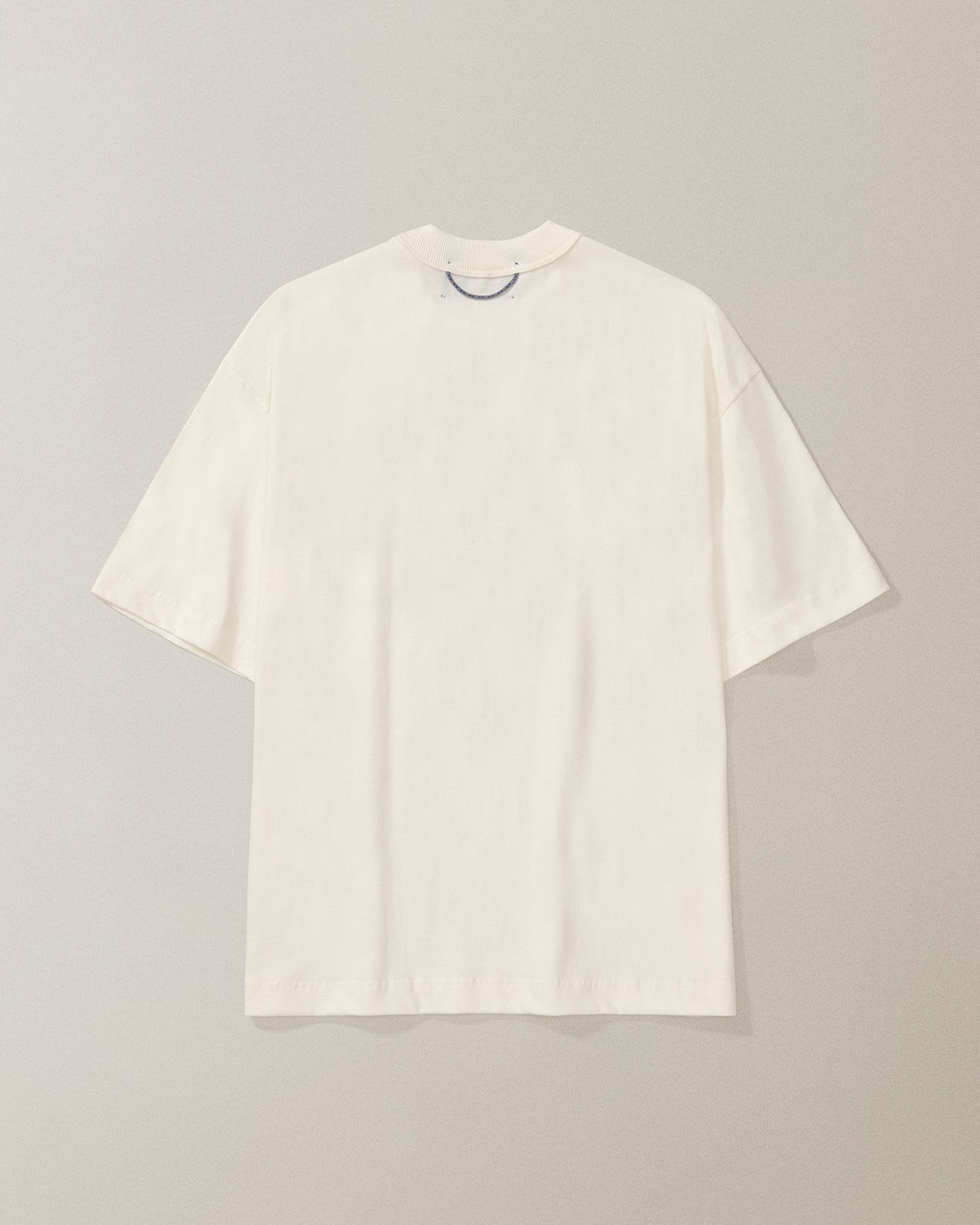 CAMISETA QC ARTHROPODS BOXY OFF WHITE