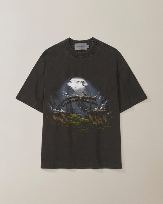 CAMISETA QC FORMIGAS BOXY STONED PRETO