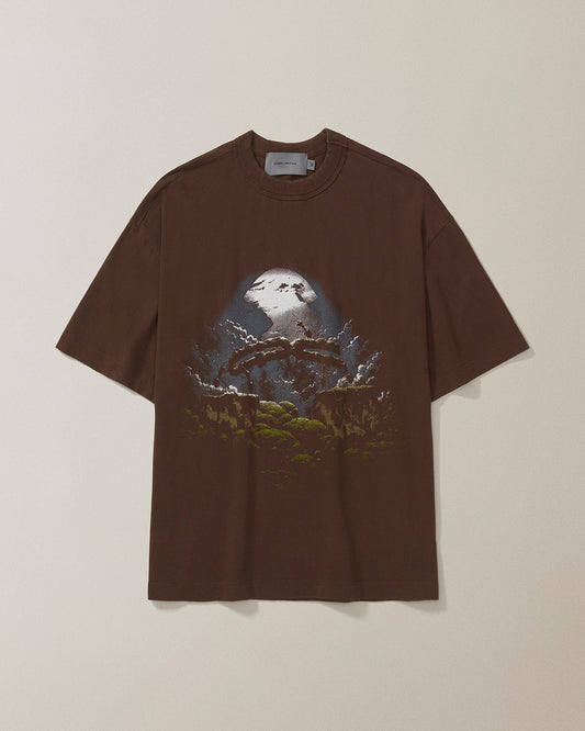 CAMISETA QC FORMIGAS BOXY STONED MARROM