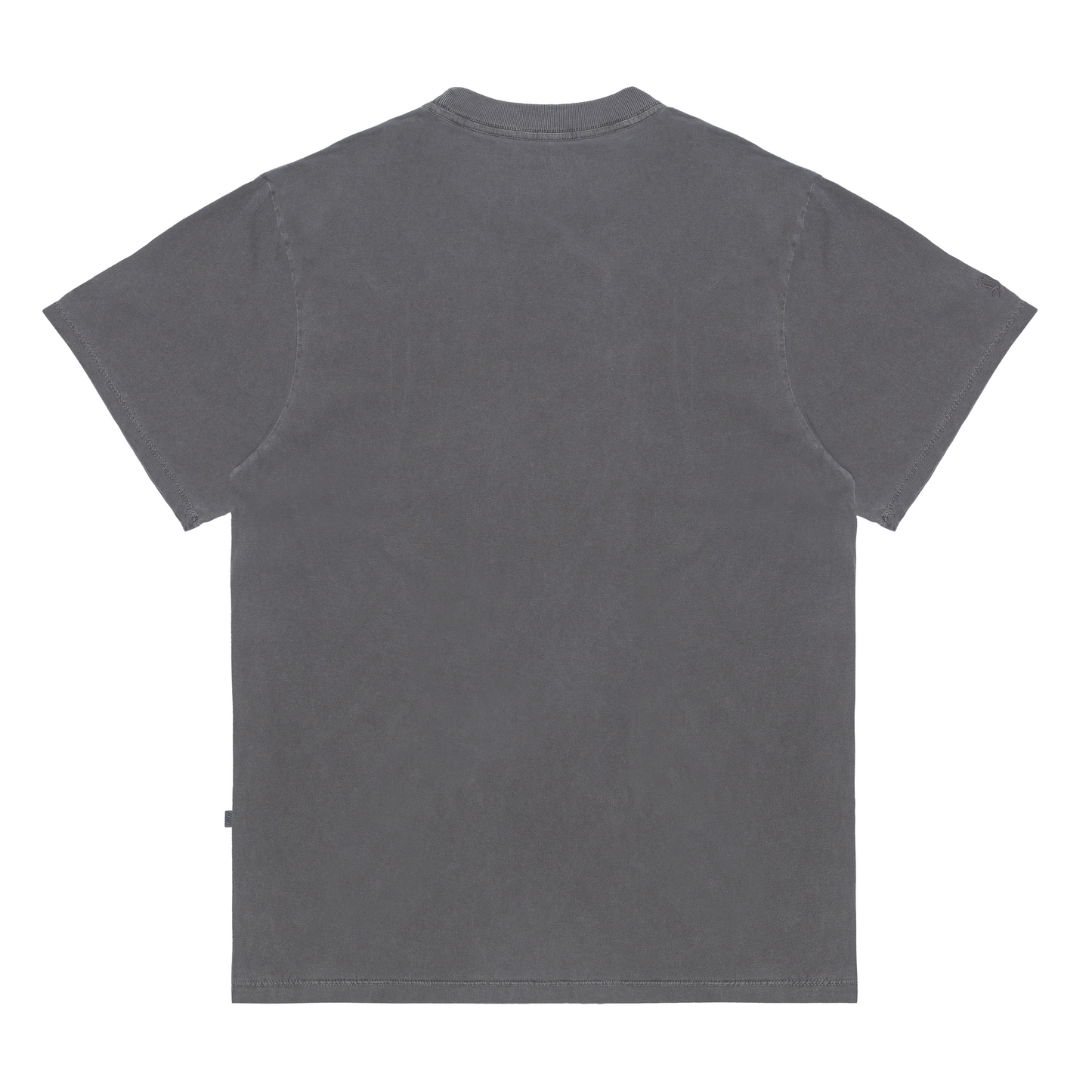 CAMISETA WASH LOGO CINZA