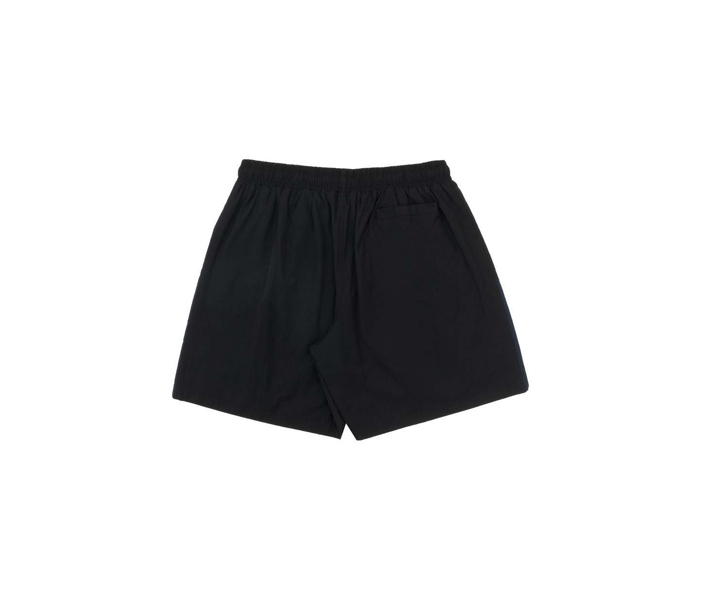Pulse Nylon Shorts In Black