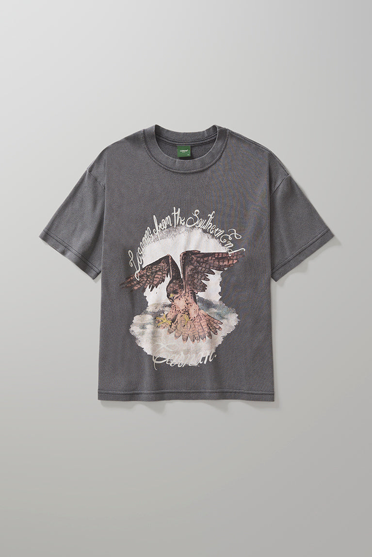 Falcon Boxy Tshirt Washed Black