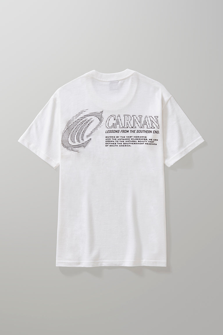 Ski Pixel Classic TShirt Off