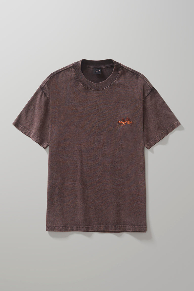 Boxy Premium Tshirt Washed Brown