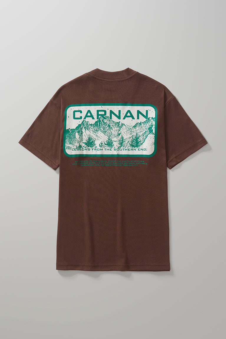 Mountain Heavy Tshirt Brown