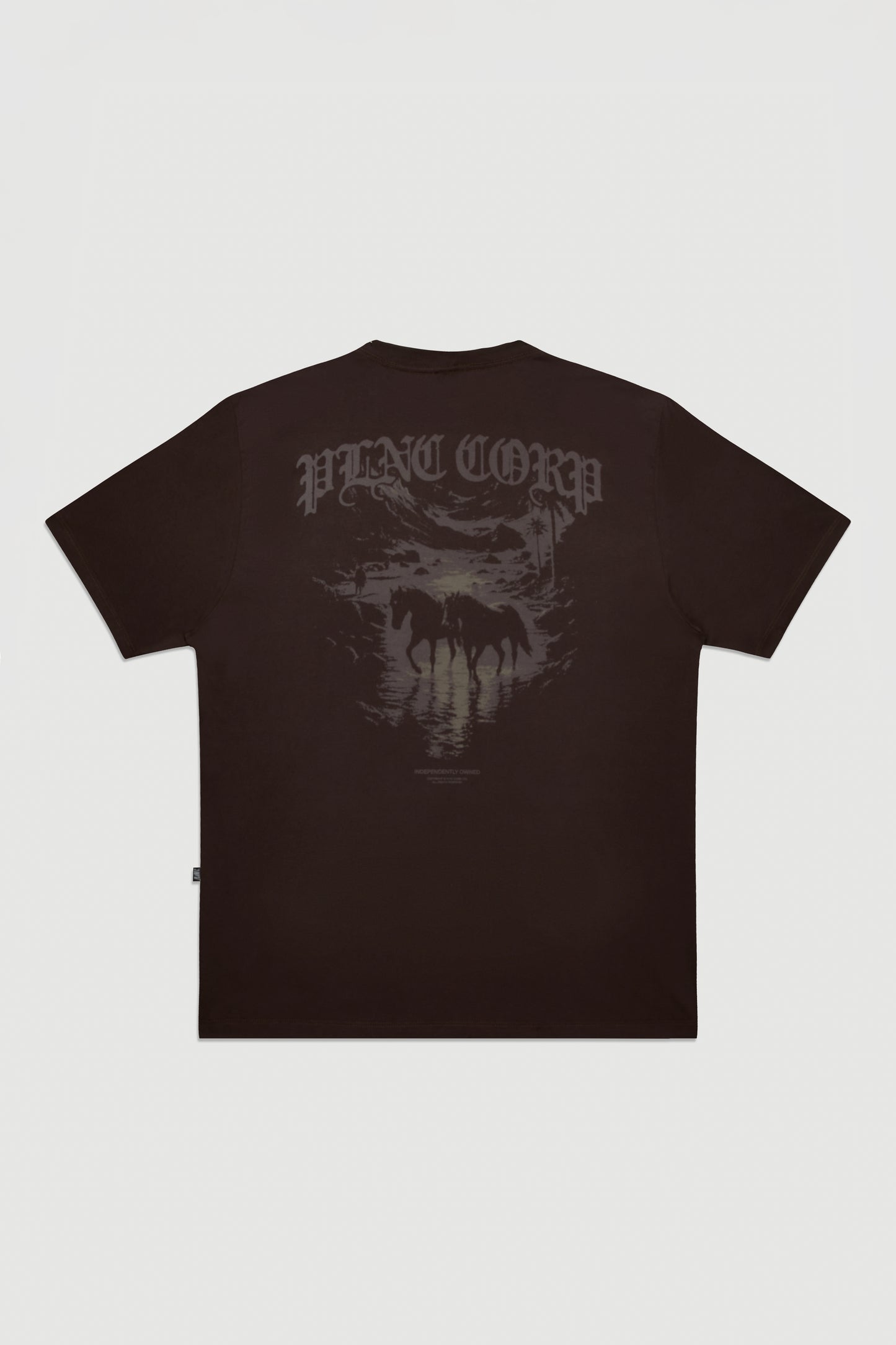 CAMISETA MIRAGE COTTON MARROM