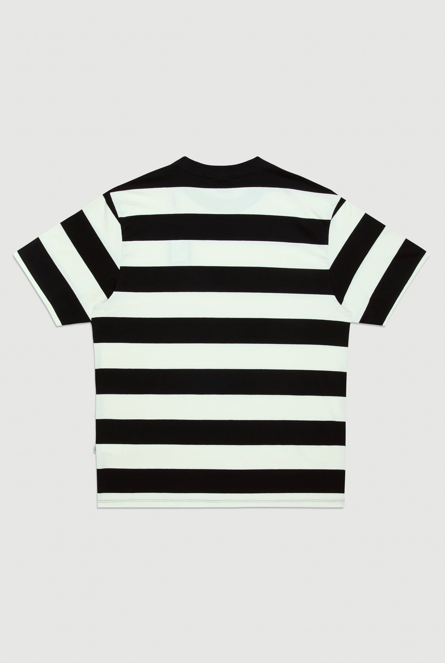 CAMISETA LITRADA PLNC