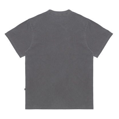 CAMISETA WASH LOGO CINZA