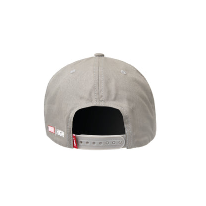 6 Panel Silver Surfer Grey