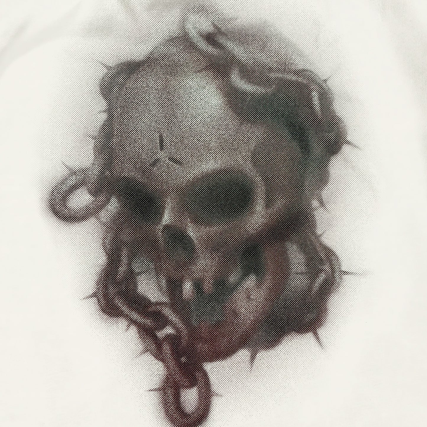 CAMISETA REGULAR   SKULL  BRANCO OFF.