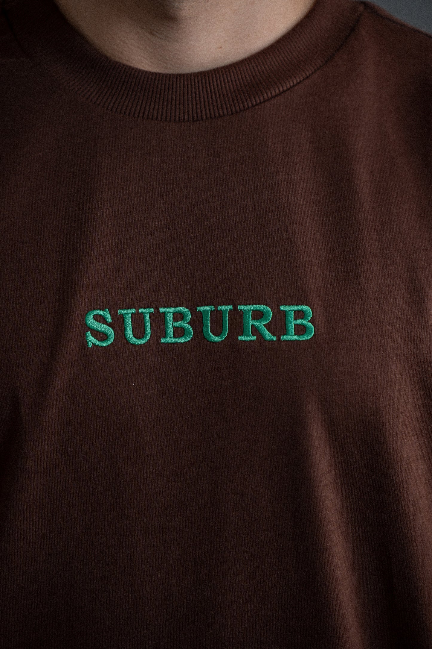 CAMISETA REGULAR EMBOIDERY MARROM