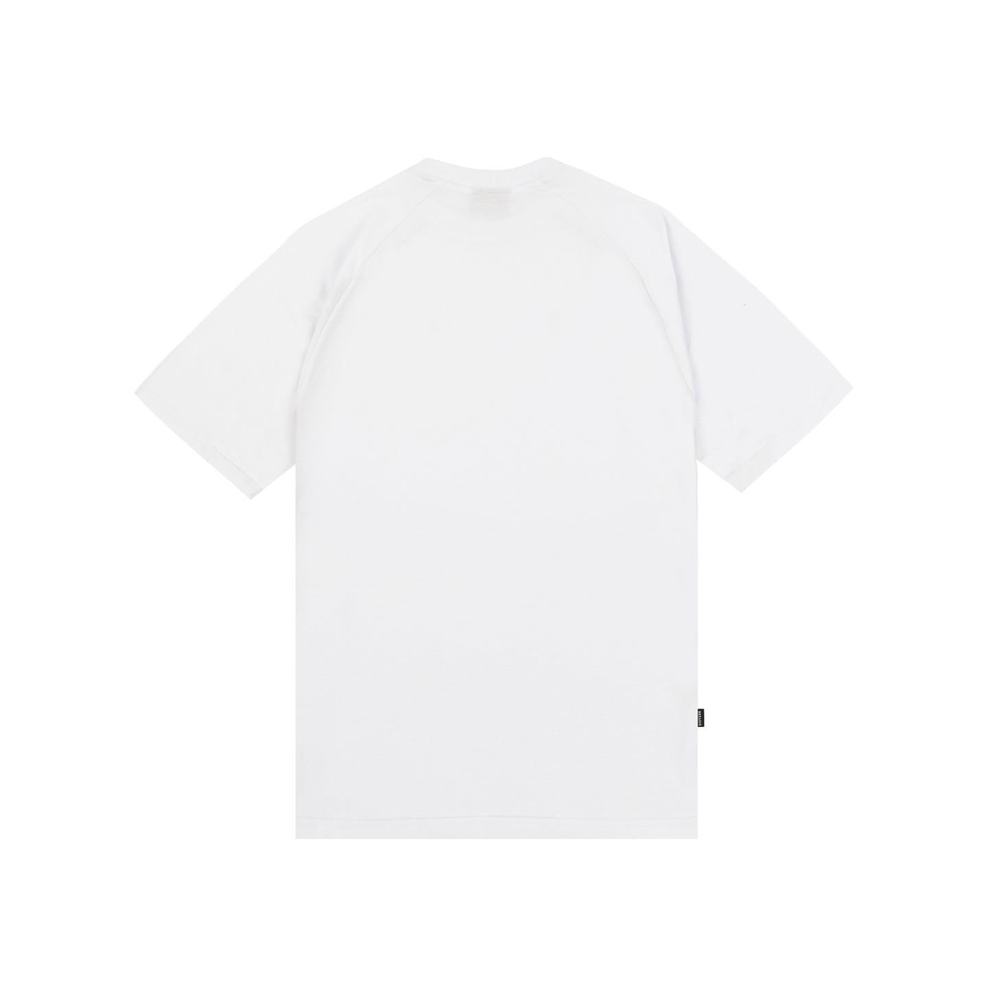 Curves TShirt In White