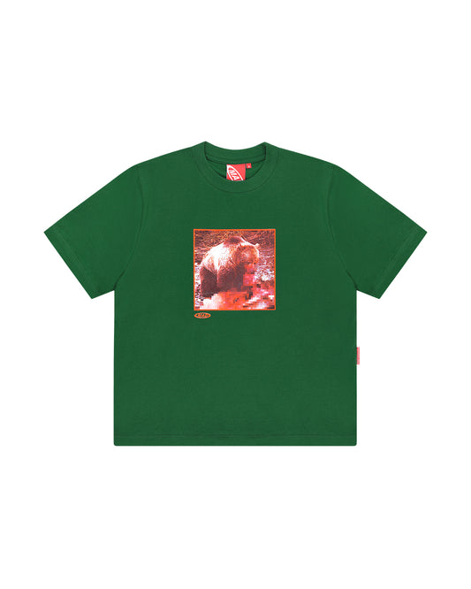 CAMISETA URSO VERDE