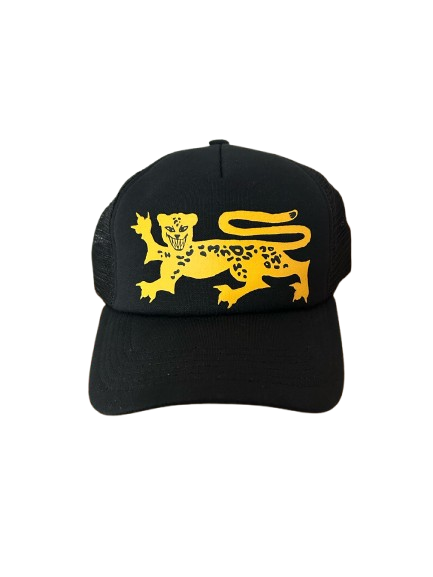 BONE TRUCKER PRETO E AMARELO