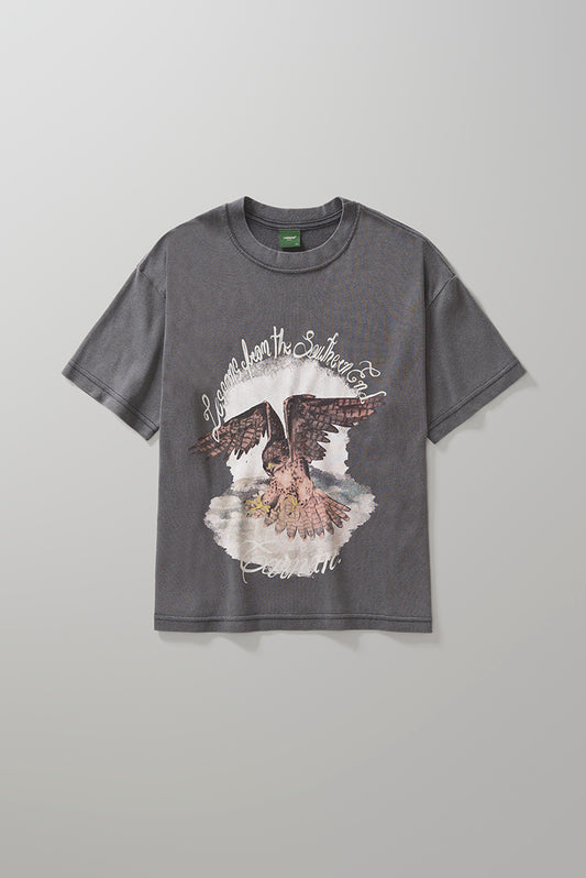 Falcon Boxy Tshirt  Washed Black